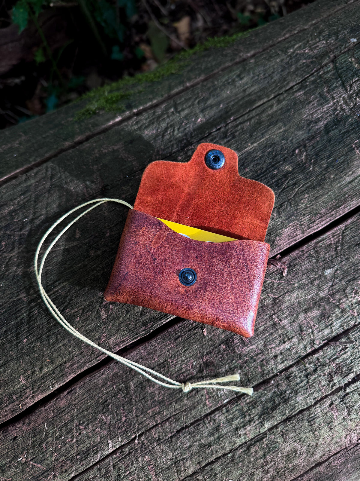 Spinal Cord Card Holder (Nutmeg)