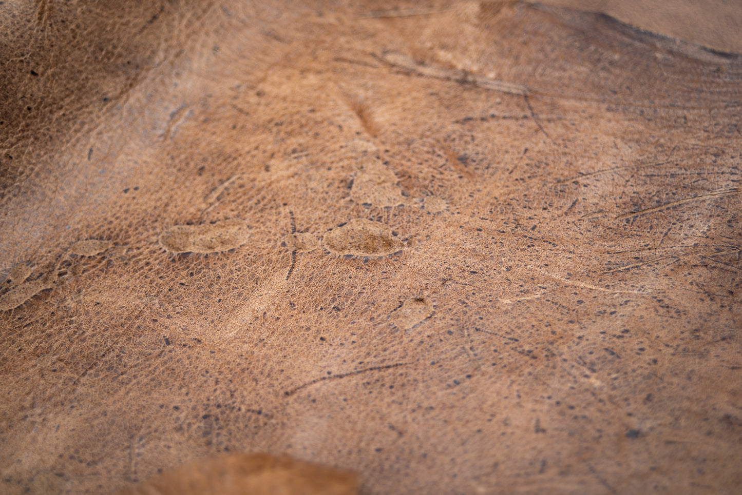 ‘Belly Pouch’ - Kudu Naked (Gaucho)