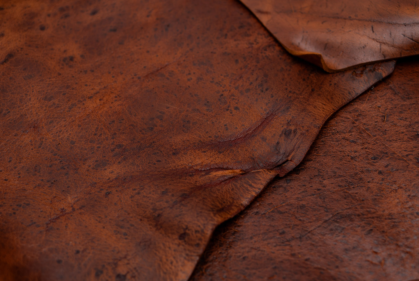 ‘Belly Pouch’ - Kudu Naked (Nutmeg)