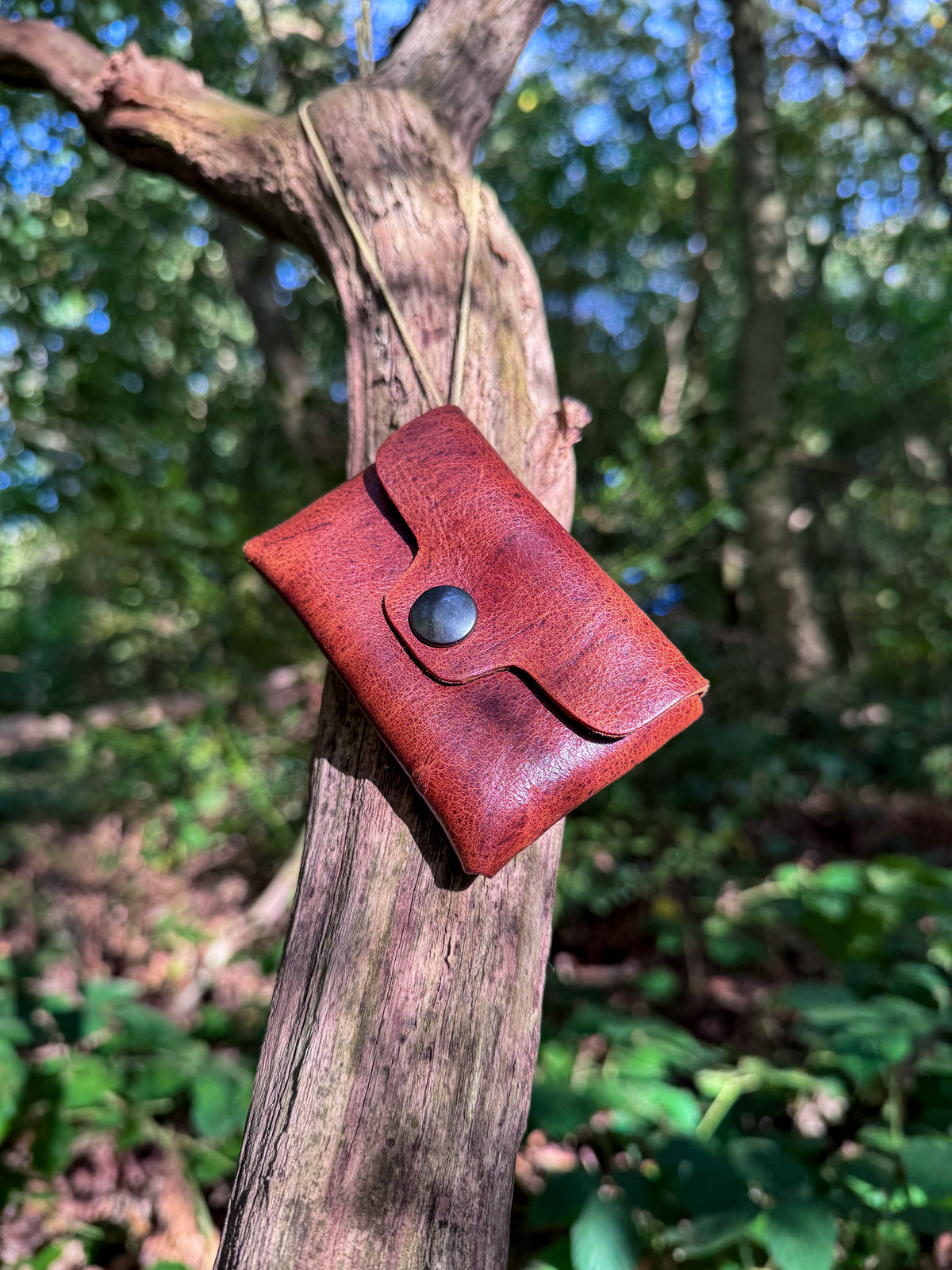 Spinal Cord Card Holder (Nutmeg)